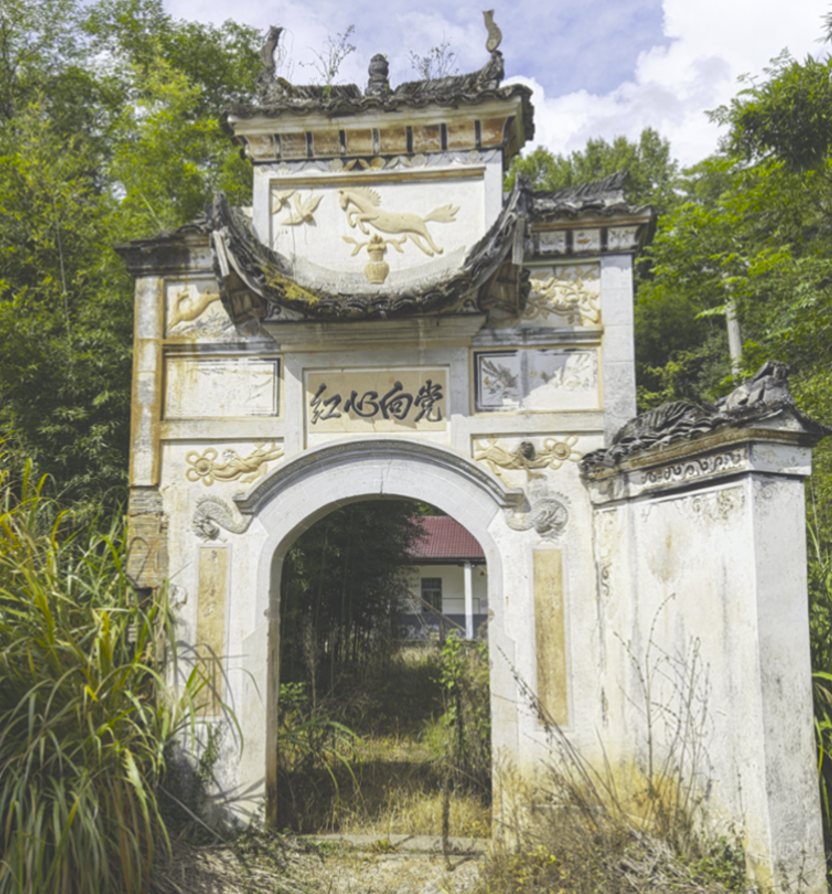 寻根服务